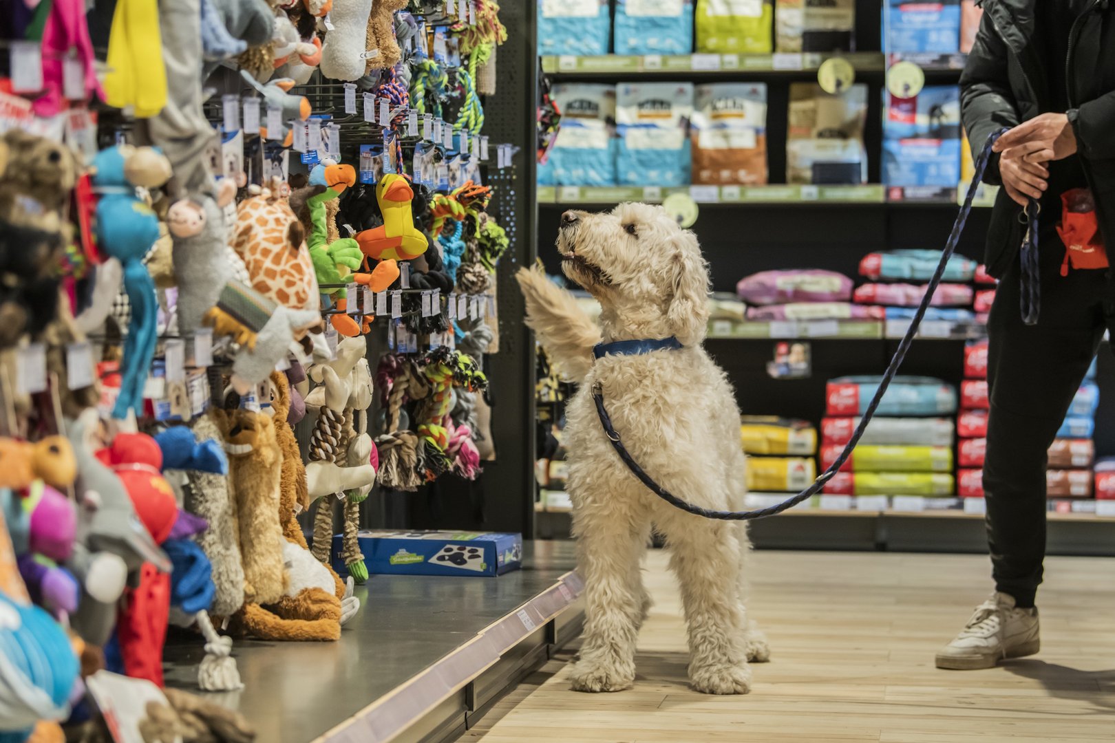 ZOOCITY | Mercator Koper | Supernova